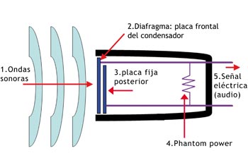 Microfono profesional para Radio